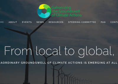 Galvanizing the Groundswell of Climate Actions